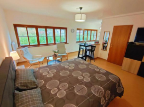 Lumineux Appartement Free Parking Nature Ville tt équipé Thann